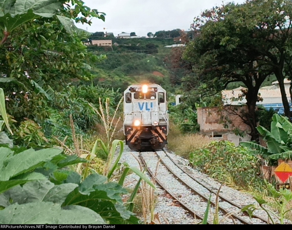 VLI 8124